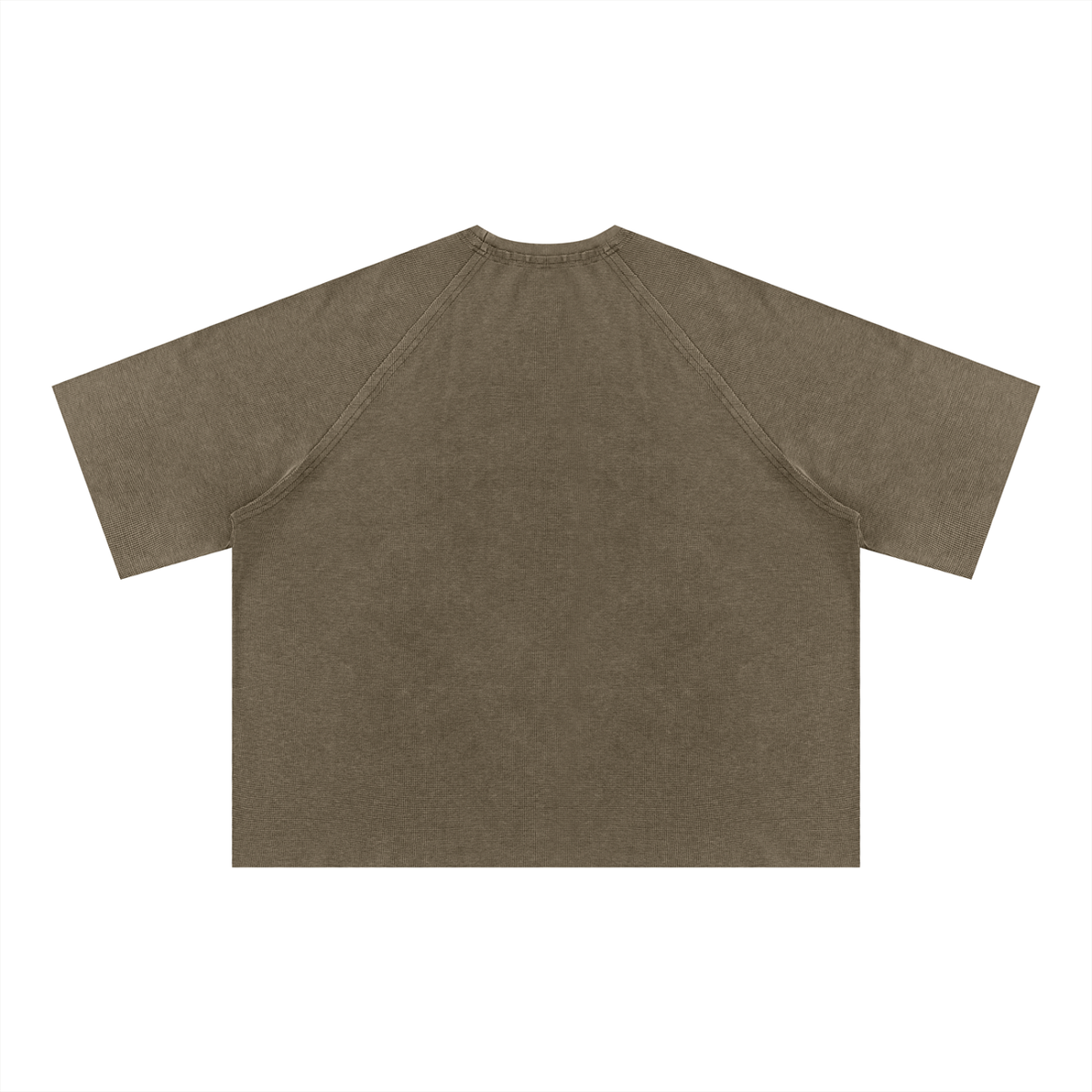 Vintage Snow Wash Raglan Tee